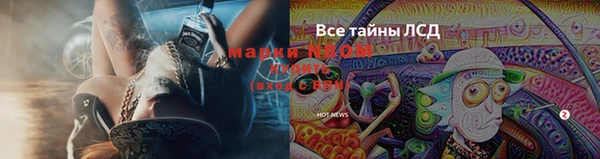 прущая мука Беломорск