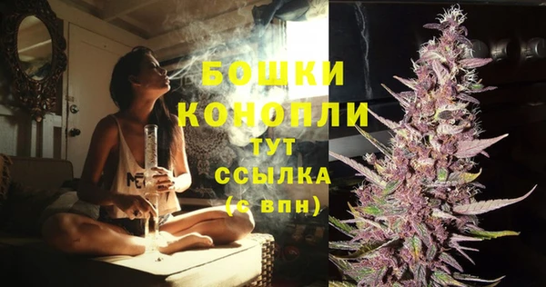 дурь Белокуриха